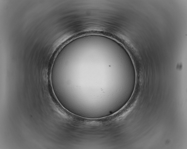 X0000090961113200708161810