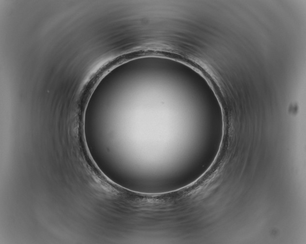 X0000090961115200708161810