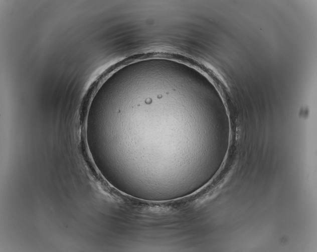 X0000090961117200708161810