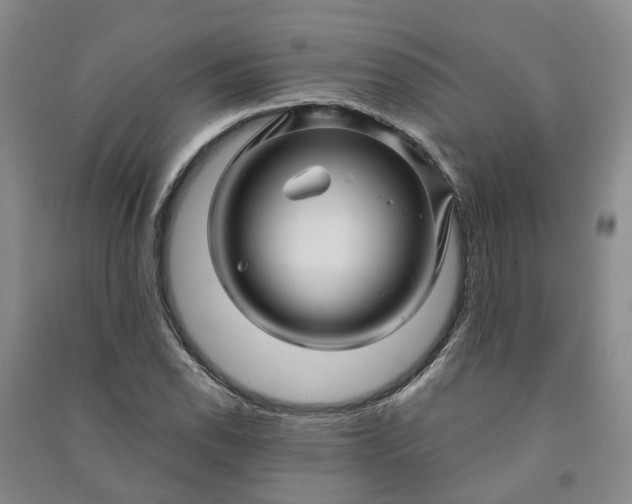 X0000090961118200708161810
