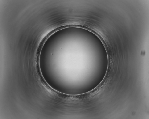 X0000090961119200708161810