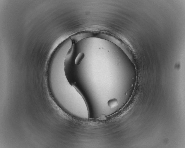 X0000090961122200708161810