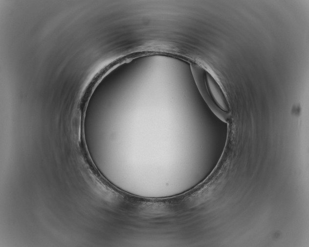 X0000090961123200708161810