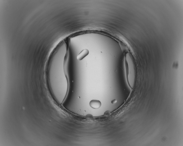 X0000090961124200708161810