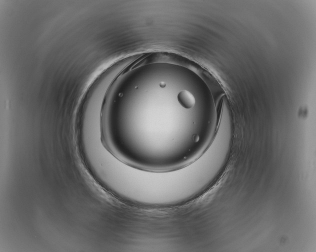 X0000090961126200708161810