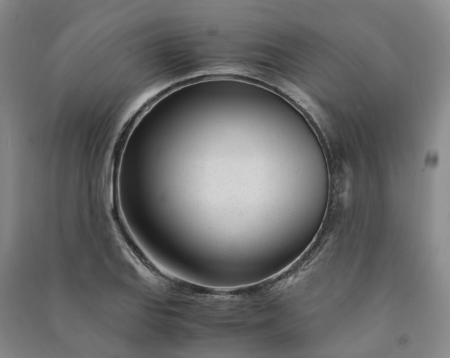 X0000090961127200708161810