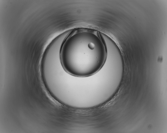 X0000090961128200708161810