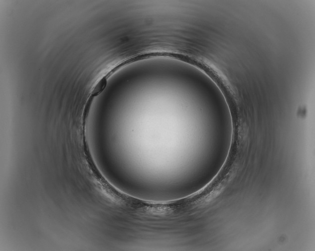 X0000090961129200708161810