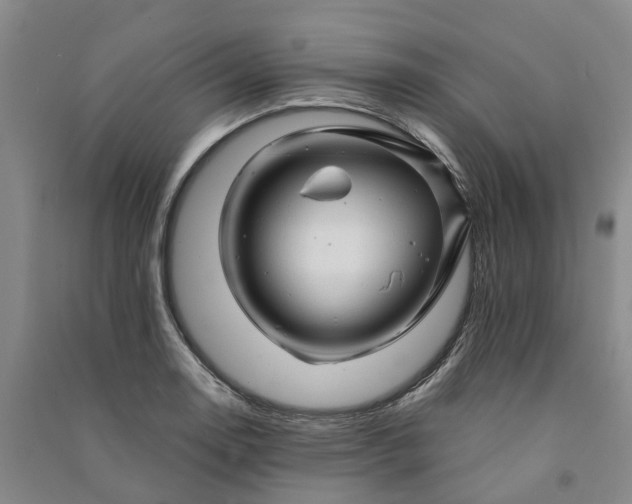 X0000090961130200708161810