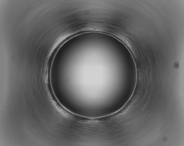 X0000090961131200708161810