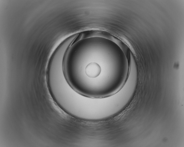 X0000090961132200708161810