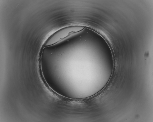 X0000090961133200708161810