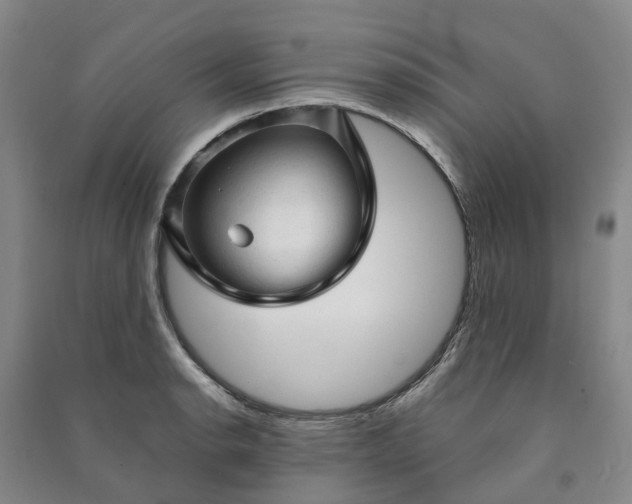 X0000090961134200708161810