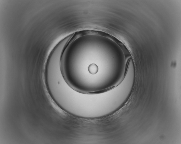 X0000090961136200708161810