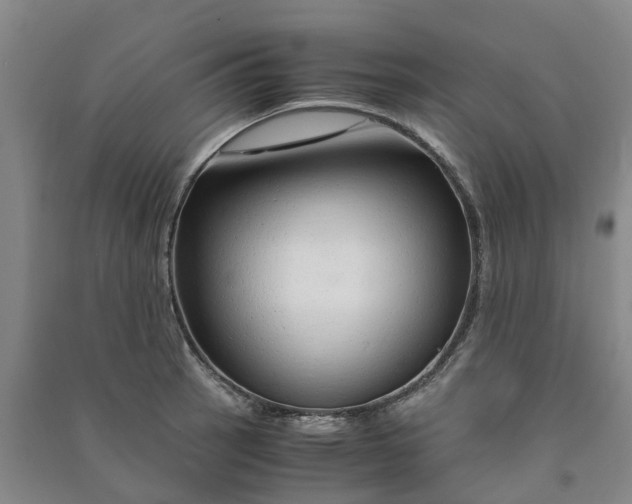 X0000090961137200708161810