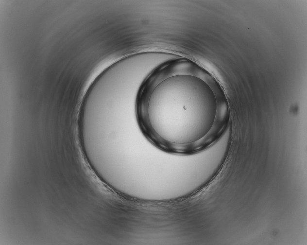 X0000090961138200708161811