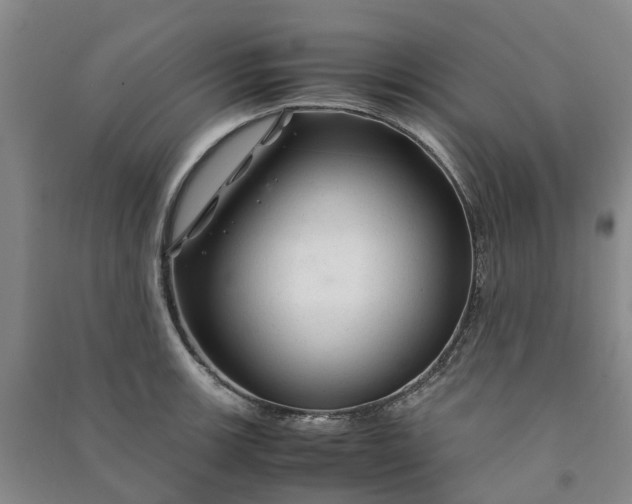 X0000090961139200708161811