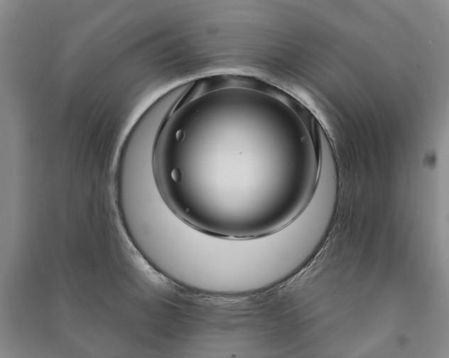 X0000090961140200708161811