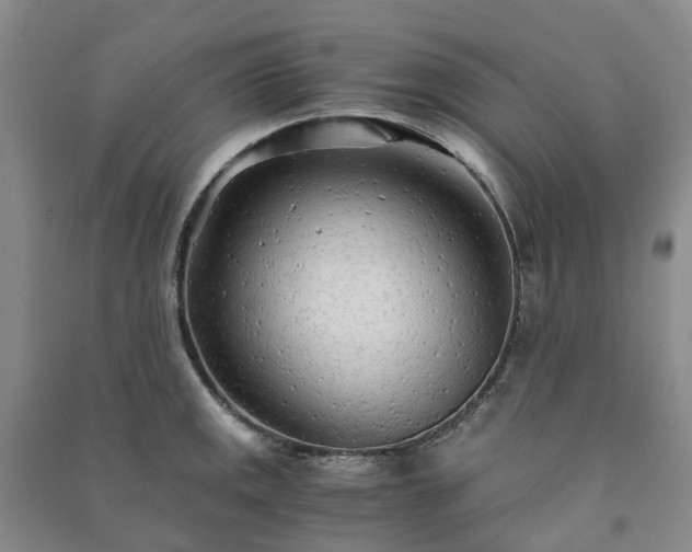 X0000090961141200708161811