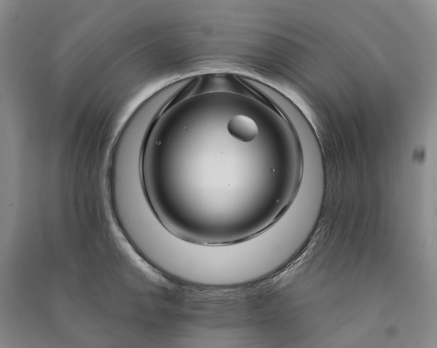 X0000090961142200708161811