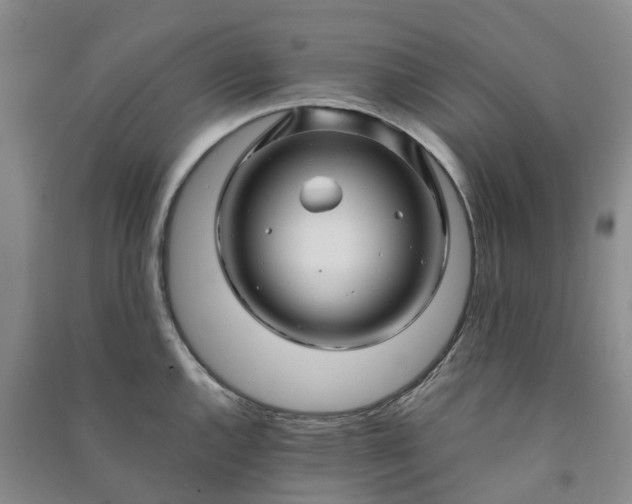 X0000090961144200708161811