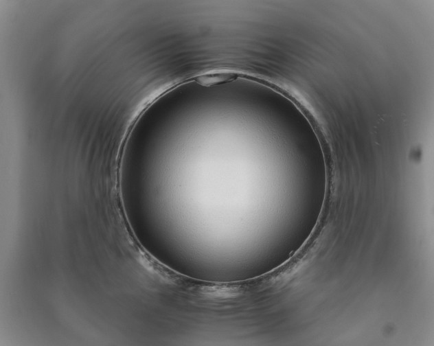 X0000090961145200708161811