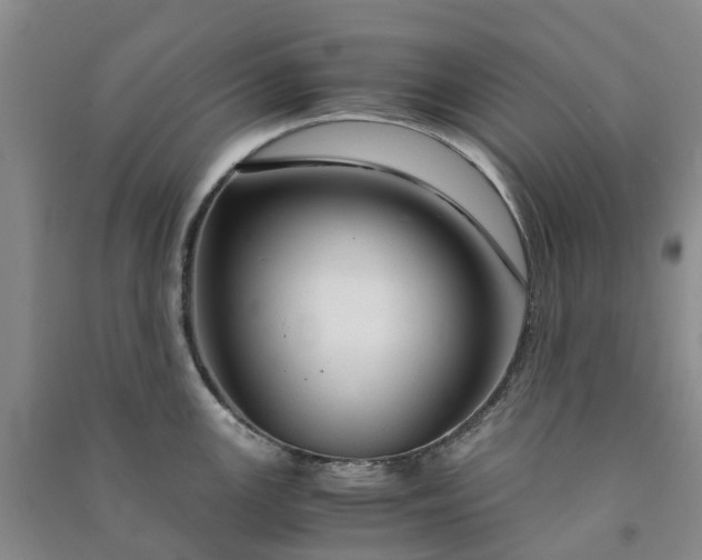 X0000090961147200708161811