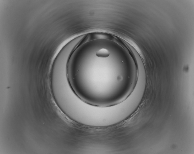 X0000090961148200708161811