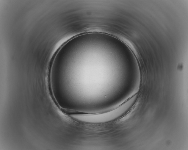 X0000090961149200708161811
