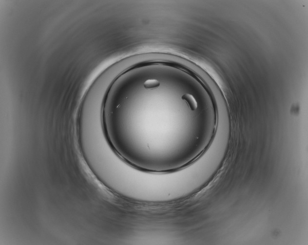 X0000090961150200708161811