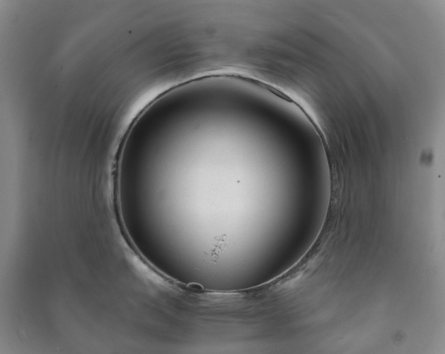 X0000090961151200708161811