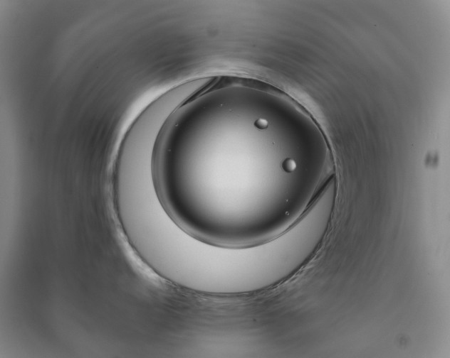 X0000090961152200708161811