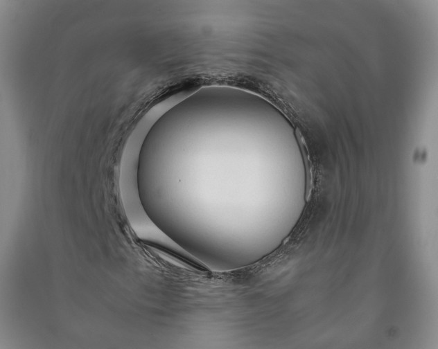 X0000090961153200708161810