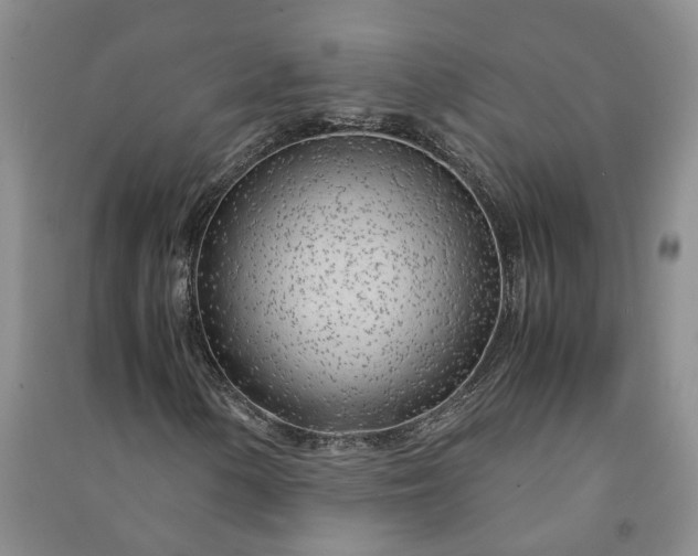 X0000090961154200708161810