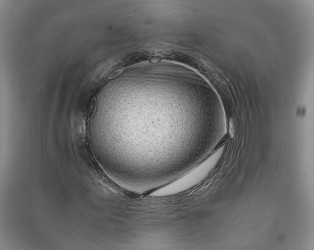 X0000090961155200708161810