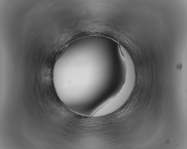 X0000090961156200708161810