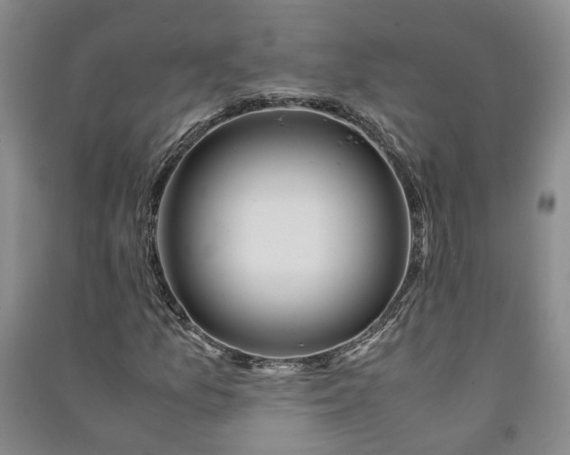 X0000090961157200708161810