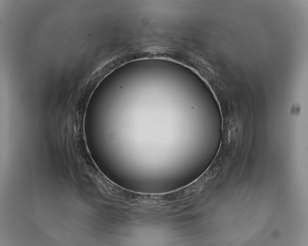 X0000090961158200708161810