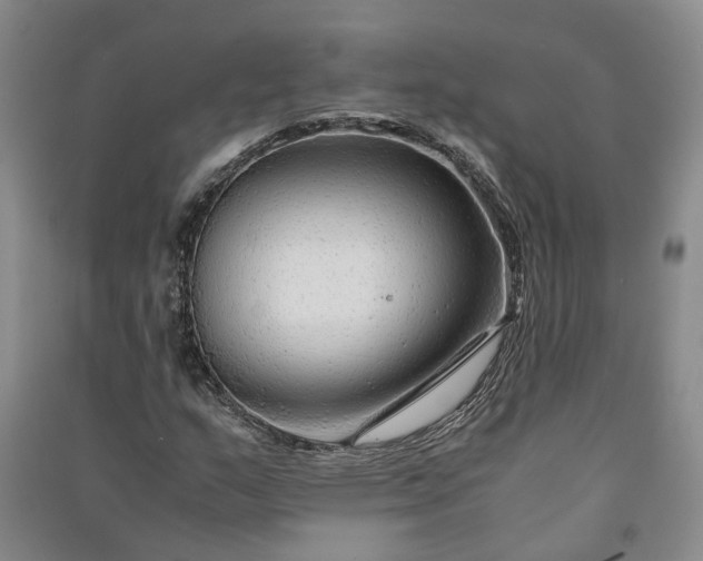 X0000090961159200708161810