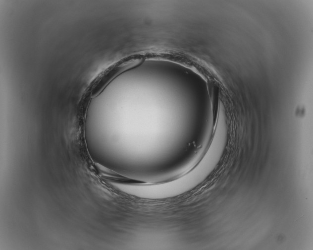 X0000090961160200708161810