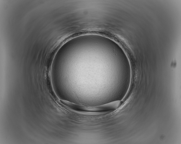 X0000090961161200708161810