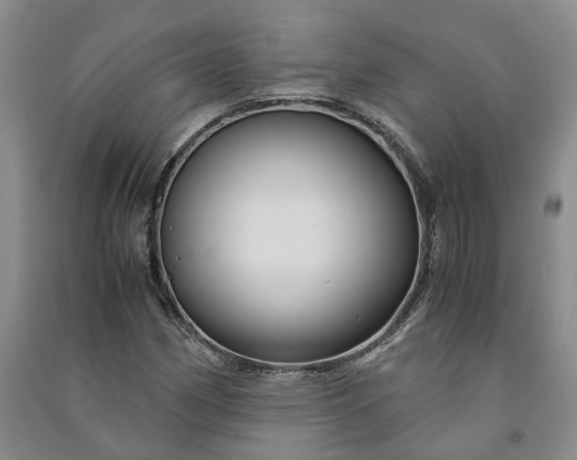 X0000090961162200708161810