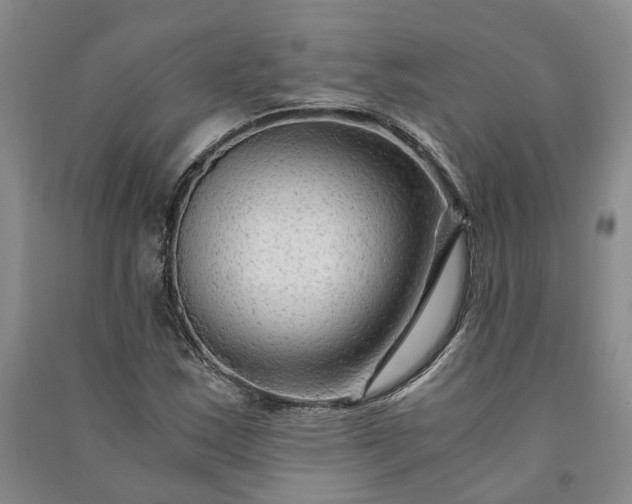 X0000090961163200708161810
