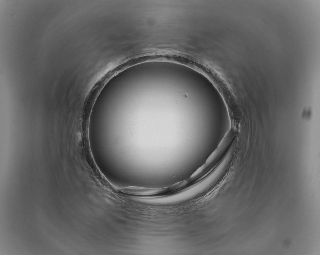 X0000090961165200708161810