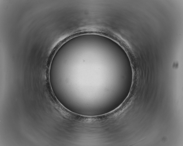X0000090961166200708161810