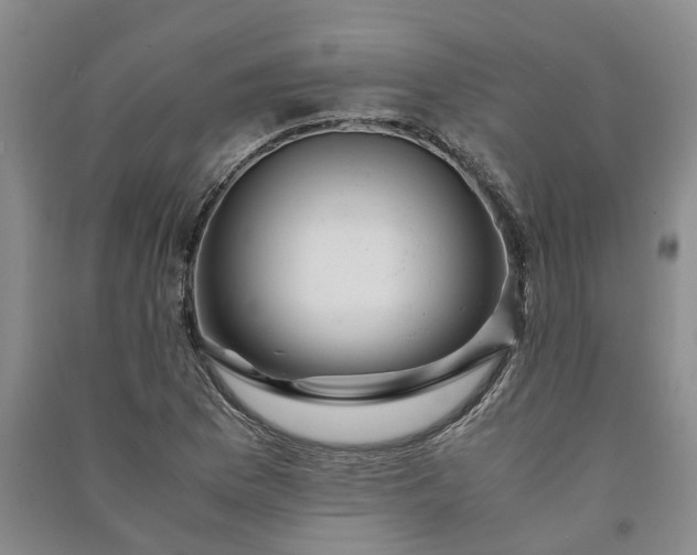 X0000090961169200708161810
