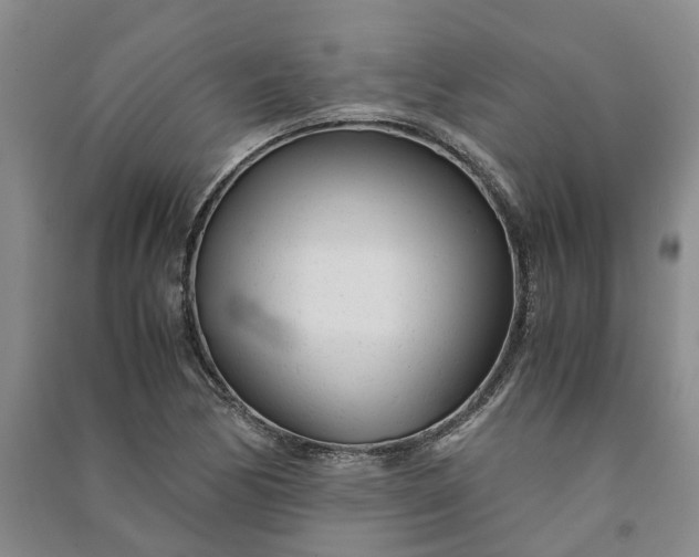 X0000090961170200708161810