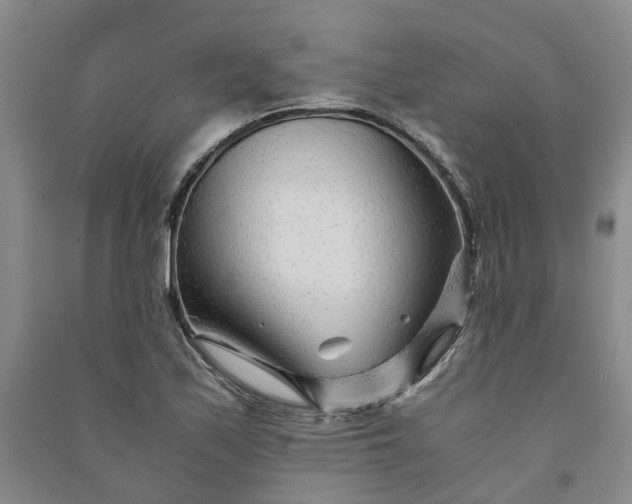 X0000090961171200708161810