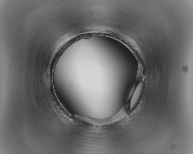 X0000090961172200708161810