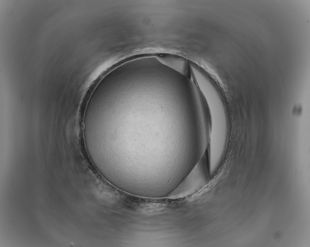 X0000090961173200708161810